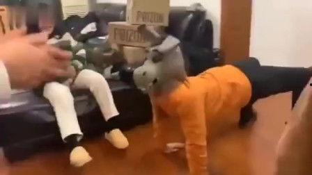 骑射精 在线视频,在线视频揭秘古代骑射技艺